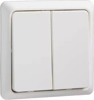 ELSO Doppeltaster rw (506254)