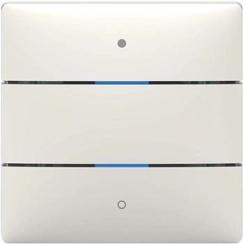 Theben LUXORliving iON2 Tastsensor mit 2 Tasten (4800412)