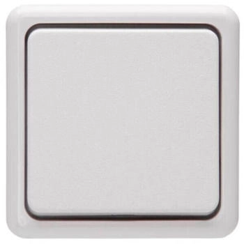 Kopp Taster-AP 10AX 250V arktis (514302007)