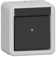 Gira 310530 Wippschalter, 10 AX, 250 V~, Kreuzschalter, IP44, grau