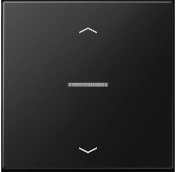 Jung HOME Taster 1fach mit Pfeilsymbolen (BTLS17101PSWM)