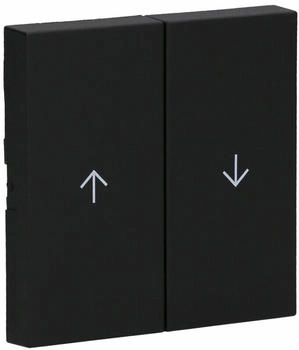 Gira Wippe 2f Pfeil System 55 Schwarz matt (3294005)