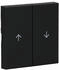 Gira Wippe 2fach mit Pfeilsymbol 3294