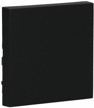Gira Wippe System 55 Schwarz matt (3296005)