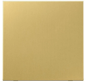 Jung Wippe f. Schalter/Taster (Messing) Messing Serie LS (ME2990C)