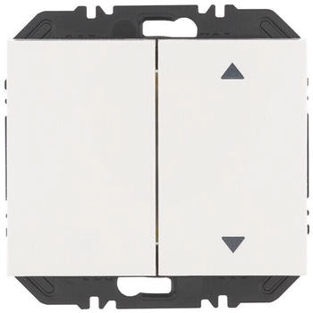 Berker Modul Wippe 2f (24127309)