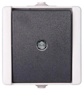 Kopp AP-FR Taster bel.pAQA hg/dg (540396001)