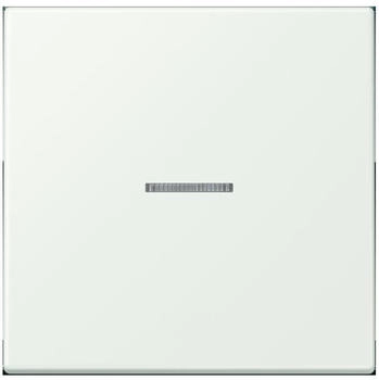 Jung HOME Taster 1fach LC32024 (BTLC17101210)