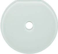 Berker 109409, Berker Glas-Endplatte Schalter 109409