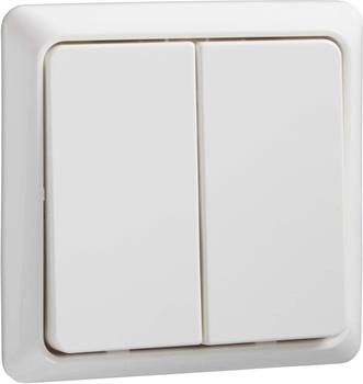 ELSO Doppeltaster rw (506194)