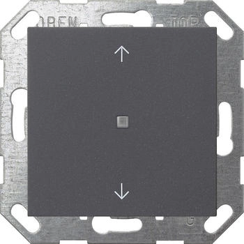 Gira Taster Wippe (517228)