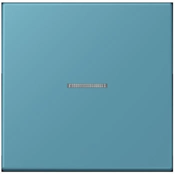 Jung HOME Taster 1fach LC32031 (BTLC17101212)