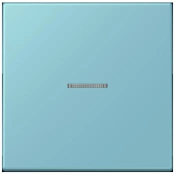 Jung HOME Taster 1fach LC32032 (BTLC17101213)