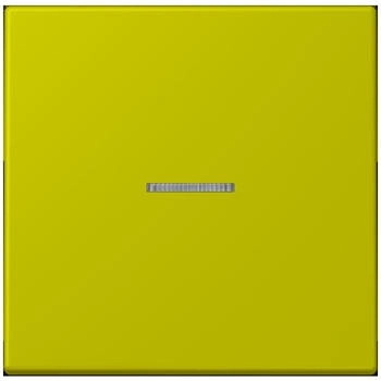 Jung HOME Taster 1fach LC4320F (BTLC17101249)