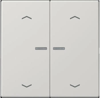 Jung HOME Taster 2fach mit Pfeilsymbolen (BTLS17102PLG)