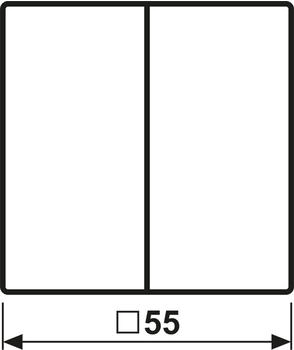 Jung Steuertaste 2-fach Standard (A1702BFWWM)