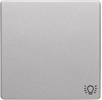 Berker Wippe alu/lack (16206044)