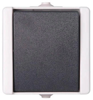Kopp Taster AP-FR 10AX 250V Aquatop hg/dg (540356003)
