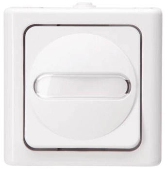 Kopp Taster AP-FR 1-pol. bel.10AX 250V IP44 Blueelectric arktis (560802003)