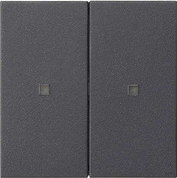 Gira KNX RF Bedienaufsatz 2-fach (510728)