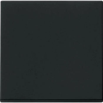 Gira Wippe Tastschalter System 55 schwarz matt (0916005)