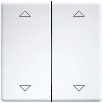 Eltako Doppelwippe lasergraviert für Taster und Schalter 55er Design reinweiß glänzend (30000985)