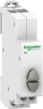 Schneider Electric Doppel-Drucktaster iPB grau 2 Schlie&szlig;er (A9E18035)