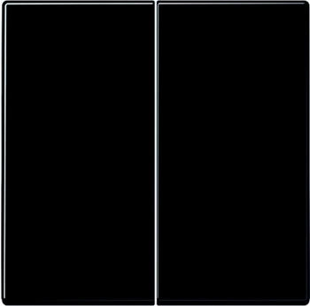 Jung Steuertaste 2-fach Standard Serie LS Duroplast schwarz (LS1702SW)