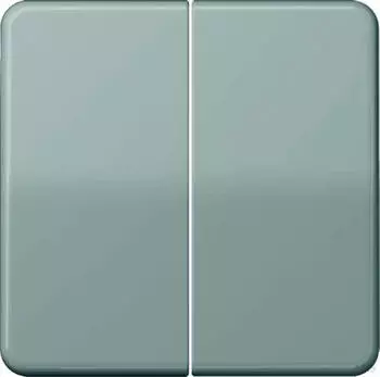 Jung Steuertaste 2-fach Standard Serie CD grau (CD1702GR)