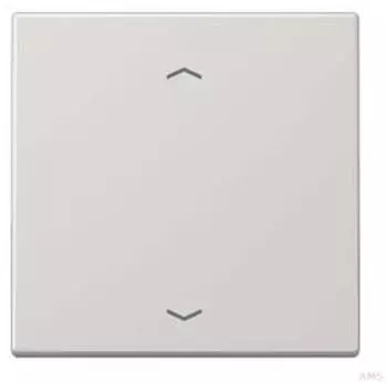 Jung Steuertaste Standard Pfeilsymbole Duroplast lichtgrau (LS1700PLG)