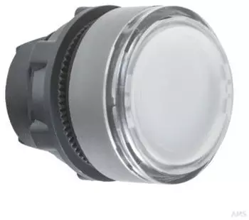 Schneider Electric Leuchtdrucktaster rastend 22mm wei&szlig;/grau mit Einlegeschild (ZB5AH0183C0)