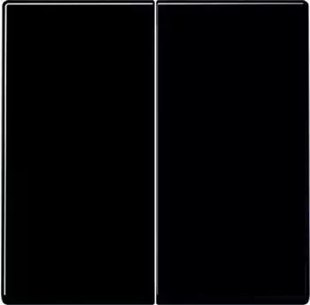 Jung Steuertaste 2-fach Standard Thermoplast bruchsicher Schwarz Serie A (A1702BFSW)