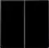 Jung Steuertaste 2-fach Standard Thermoplast bruchsicher Schwarz Serie A (A1702BFSW)