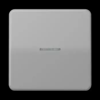 Jung eNet Funk-Steuertaste Standard 1-fach Serie CD, Duroplast, grau (FMCD1700GR)