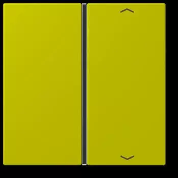 Jung Taste 1-fach mit Pfeilsymbol Les Couleurs&reg; Le Corbusier Vert Olive Vif (LC401TSAP249)