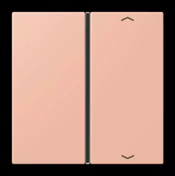Jung Taste 1-fach mit Pfeilsymbol, rose clair (LC401TSAP231)