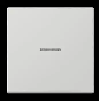 Jung eNet Funk-Steuertaste Standard 1-fach Serie LS Duroplast lichtgrau (FMLS1700LG)