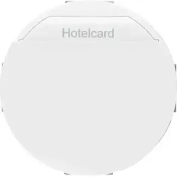 Berker R.Classic Hotelcard-Schaltaufsatz polarwei&szlig; gl&auml;nzend (16402079)