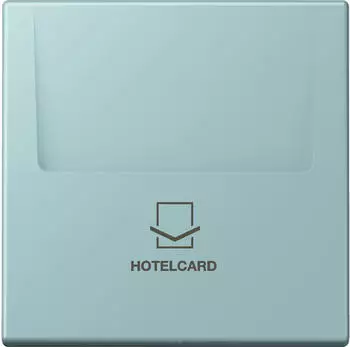 Jung Hotelcard-Schalter ohne Taster-Einsatz, Thermoplast lackiert (LC590CARD214)