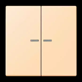 Jung LC 102 KO5223 Wippe mit Lichtleiter f&uuml;r KNX Taster 2-fach (LC102KO5223)