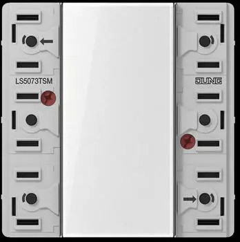 Jung LS5073TSM KNX Tastsensor-Modul Standard 3-fach mit Busankoppler (LS5073TSM)