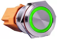 Button22c-01 Button22c-01 Schalter 250 V Rastend Gr&uuml;n (&oslash; X L) 24.80 Mm X...