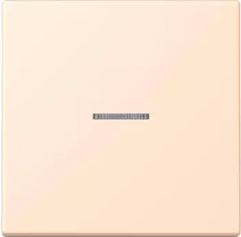 Jung eNet Taster Standard 1-fach FM LC (FMLC1700238)