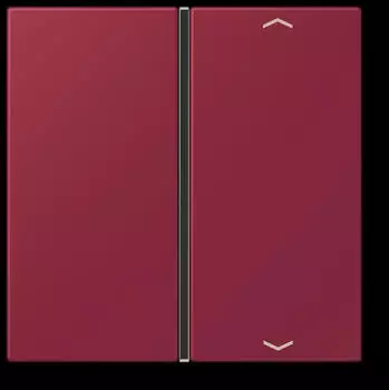 Jung LC 401 TSAP 255 Taste 1-fach mit Pfeilsymbol (LC401TSAP255)