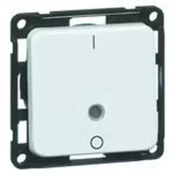 Peha Kontroll-Ausschalter 2-polig 10A 250V Aluminium (D 712.70 GLK)