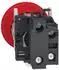Schneider Electric Harmony XB4 Not-Aus-Taster rastend Metall 1Ö+1Ö (XB4BS84462)