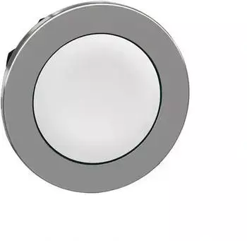 Schneider Electric Harmony XB4F Drucktaster Frontelement 30mm Metall, kundenspezifisch (ZB4FACUST01)