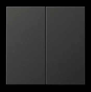 Jung Steuertaste 2-fach Standard Aluminium lackiert Anthrazit Serie LS (AL1702AN)