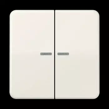 Jung CD10921STRF KNX RF Taster 2-fach, Duroplast, wei&szlig; (CD10921STRF)