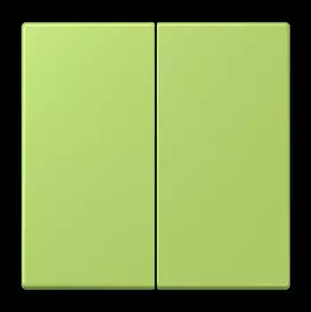 Jung Wippe f&uuml;r KNX Taster 2-fach, vert clair (LC102221)